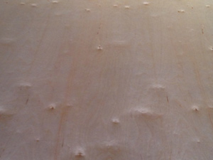 Commercial Plywood-13