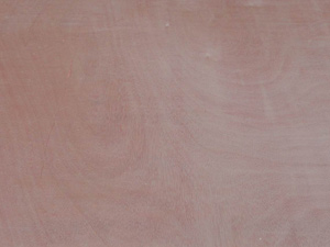 Commercial Plywood-15